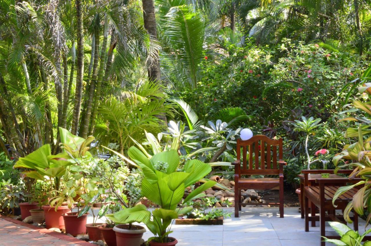 Palm Grove Cottages - Leisure Resort Бенаулим Экстерьер фото